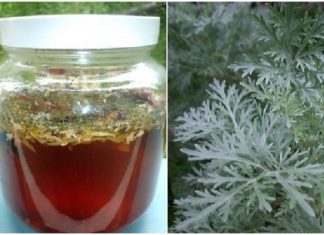 ეს ხერხი წამლებს გადაგაყრევინებთ: ხალხური რეცეპტი რომელიც ჭიებს მოგაშორებთ