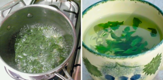 ოხრახუშით უსწრაფესად გახდებით! – ესეთი ეფექტური დიეტა ნანახი არ გექნებათ