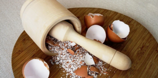 ამის წაკითხვის შემდეგ კვერცხის ნაჭუჭის ღუმელში შესადებად გაიქცევით – საოცარი რეცეპტი