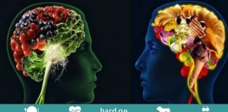 10 საკვები, რომელიც გაგიუმჯობესებთ მეხსიერებას, ტვინის ფუნქციონირებასა და ჯანმრთელობას!