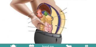 ცხიმის შემცველი ტოქსინები ჯანმრთელობისთვის საზიანოა! გაიგეთ, როგორ მოიშოროთ ისინი!