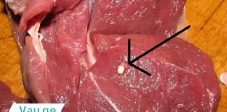 როგორ უნდა განვასხვავოთ ხარისხიანი და ახალი ხორცი უხარისხოსგან?