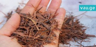 ფიჭვის ქერქი – ყველაზე ძლიერი ანტიოქსიდანტი. ის, რის შესახებაც უმრავლესობამ არ იცის