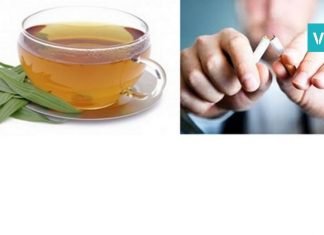 როგორ გავიწმინდოთ ფილტვები ნიკოტონისგან? ეს ყველაზე მარტივი და ეფექტური საშუალებაა