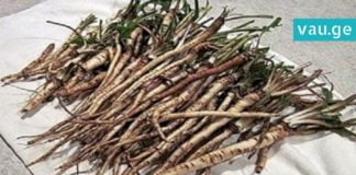 ქიმიოთერაპიაზე 100-ჯერ უფრო ეფექტური ხერხი. ის, რაც კიბოს უჯრედებს 48 საათში ანადგურებს