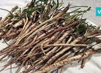 ქიმიოთერაპიაზე 100-ჯერ უფრო ეფექტური ხერხი. ის, რაც კიბოს უჯრედებს 48 საათში ანადგურებს