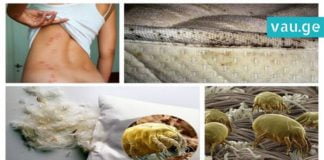 თქვენს ლოგინში 1,5 მილიონი ბაქტერია ცხოვრობს. გაანადგურეთ ისინი მხოლოდ ერთი ხერხით