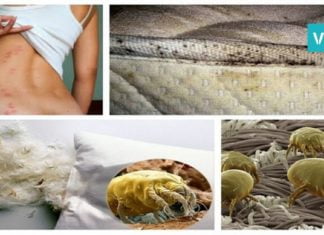 თქვენს ლოგინში 1,5 მილიონი ბაქტერია ცხოვრობს. გაანადგურეთ ისინი მხოლოდ ერთი ხერხით