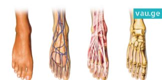 ხელები და ფეხები ხშირად გიცივდებათ? ის, რაც სისხლის მიმოქცევას დაგირეგულირებთ