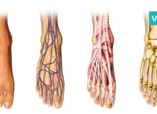 ხელები და ფეხები ხშირად გიცივდებათ? ის, რაც სისხლის მიმოქცევას დაგირეგულირებთ