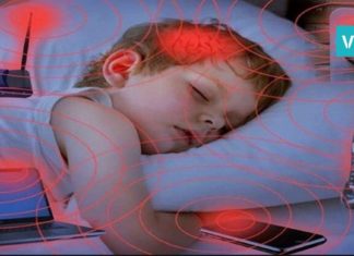 Wi-Fi – მკვლელი, რომელიც ნელ-ნელა გკლავთ. ბავშვების დაცვა მხოლოდ ასეა შესაძლებელი