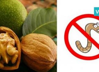 პროდუქტები, რომლებიც ორგანიზმს პარაზიტებისგან იცავენ. ეს ყველას სჭირდება