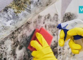 საშუალება, რომელიც ობს რამდენიმე წუთში აქრობს. ამის შესახებ ბევრმა არ იცის!