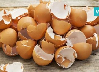 აი, რატომ არ უნდა გადააგდოთ კვერცხის ნაჭუჭი. ამის შესახებ, ბევრმა არ იცის