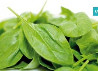 5 საინტერესო ფაქტი მრავალძარღვას გამოყენებაზე – ჯადოსნური მცენარეა!