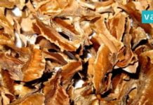 ფეხის ოფლიანობის სამკურნალო აბაზანა კაკლის უღლისგან