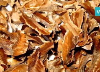 ფეხის ოფლიანობის სამკურნალო აბაზანა კაკლის უღლისგან