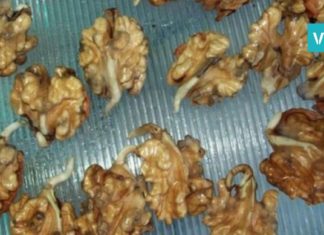 უნიკალური რეცეპტი წინაპრებისგან: ეს პროდუქტი ენერგიას ათასჯერ მოგმატებთ !