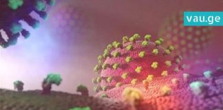 ის რაც ჩვენს ორგანიზმშია და არ ვიცით როგორ გამოიყურება, საინტერესო ფოტო პროექტია !