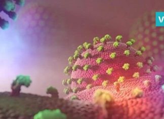 ის რაც ჩვენს ორგანიზმშია და არ ვიცით როგორ გამოიყურება, საინტერესო ფოტო პროექტია !