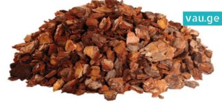 ფიჭვის ქერქის სასარგებლო თვისებები-სასწაულების მოხდენა შეუძლია