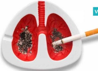 პროდუქტები, რომლებიც ორგანიზმიდან ნიკოტინს გამოდევნის! გაიგეთ მეტი…