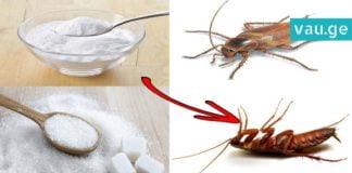 მოაშორეთ მწერები და ობობები თქვენს სახლს ქიმიკატების გარეშე!