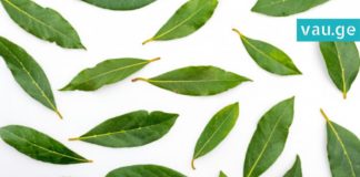 ის, რაც აქამდე არ იცოდით-დაფნის ფოთლის საოცარი თვისებები