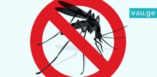 კოღოების მოსაშორებელი ნატურალური საშუალება! მარტივი და ეფექტურია!