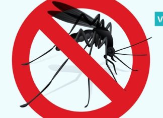 კოღოების მოსაშორებელი ნატურალური საშუალება! მარტივი და ეფექტურია!