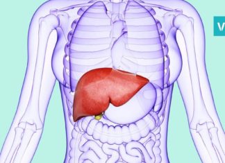 სასმელი, რომელიც მომენტალურად აჯანსაღებს ორგანიზმს-გაიწმინდეთ ღვიძლი მარტივად!