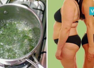 ეს რეცეპტი ოხრახუშით გახდომაში დაგეხმარებათ! მოგეწონებათ…