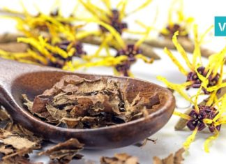 იაფი, კოსმეტიკური, სამედიცინო საშუალება ჰამამელისი, რომლის შესახებ აქამდე არ ვიცოდით!