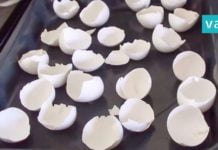 ის კვერცხის ნაჭუჭებს ღუმელში აწყობს! მიზეზი გენიალურია!