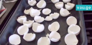 ის კვერცხის ნაჭუჭებს ღუმელში აწყობს! მიზეზი გენიალურია!