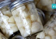 ეს სასმელი მათთვისაა, ვინც დიდი ხანია ეწევა! გაიწმინდეთ ფილტვები ტოქსინებისგან!