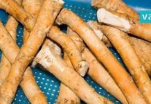 ყველაზე ძლიერი ბუნებრივი ანტიბიოტიკი, ის რაც ლიმონზე მეტ C ვიტამინს შეიცავს