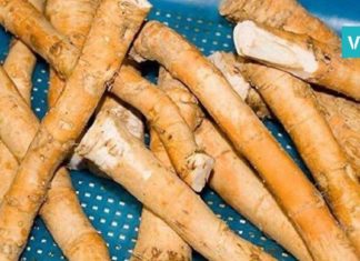 ყველაზე ძლიერი ბუნებრივი ანტიბიოტიკი, ის რაც ლიმონზე მეტ C ვიტამინს შეიცავს