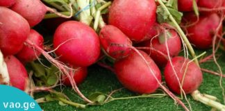 აი, რატომ უნდა გქონდეთ ბევრი ბოლოკი სახლში. გაიგეთ მისი სასარგებლო თვისებების შესახებ