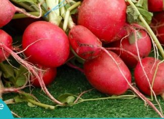 აი, რატომ უნდა გქონდეთ ბევრი ბოლოკი სახლში. გაიგეთ მისი სასარგებლო თვისებების შესახებ