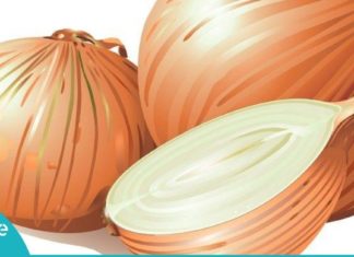 ნაცნობი პროდუქტის ბევრისთვის უცნობი თვისებები. საჭირო და სასარგებლო ინფორმაციაა