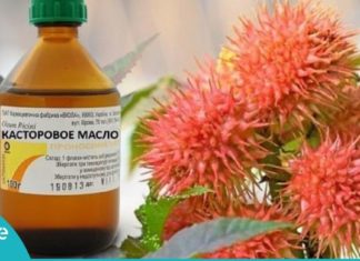 აბუსლათინის ზეთი 17 პრობლემის წინააღმდეგ! გაიგეთ მისი საოცარი თვისებების შესახებ