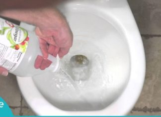 ის ასხამს თეთრ ძმარს ტუალეტში. შედეგი არაჩვეულებრივია!