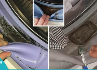 აი, რატომ უნდა მოიშოროთ ტოქსიკური ობი, რომელიც სარეცხ მანქანაში იმალება-გაიგეთ მეტი..