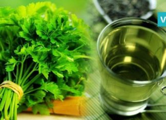 ოხრახუშის ჩაი – სასმელი, რომლის დახმარებითაც 3 დღეში 5 კილოს დაიკლებთ