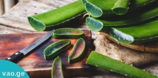 ალოე ვერა-მკურნალი თქვენს სახლში: 18 მიზეზი დაგარწმუნებთ, რომ ის შეუცვლელია!