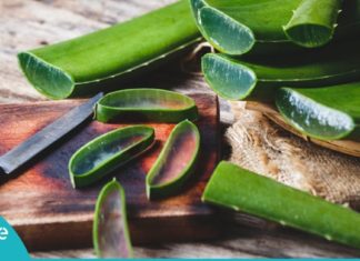 ალოე ვერა-მკურნალი თქვენს სახლში: 18 მიზეზი დაგარწმუნებთ, რომ ის შეუცვლელია!