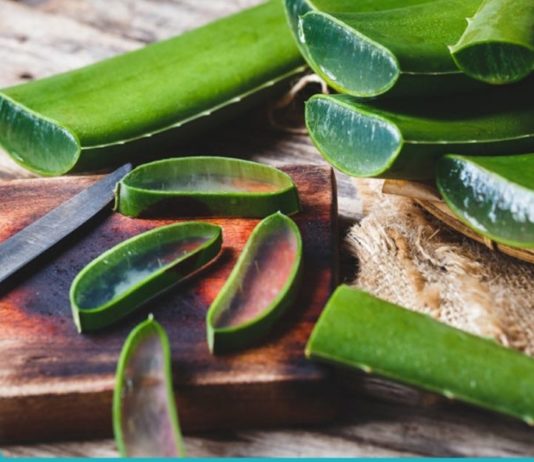 ალოე ვერა-მკურნალი თქვენს სახლში: 18 მიზეზი დაგარწმუნებთ, რომ ის შეუცვლელია!