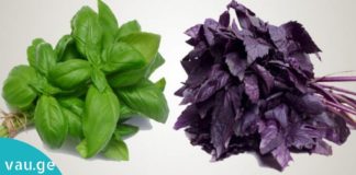 რეჰანის საოცარი თვისებები. თურმე რამდენი დაავადების განკურნება შესძლებია