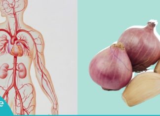 გაისუფთავეთ არტერიები ნიორისა და ხახვის გამოყენებით! საუკეთესო რეცეპტები!